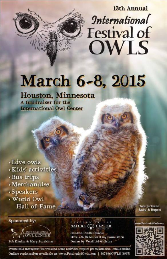 International Festival of Owls 2015 poster