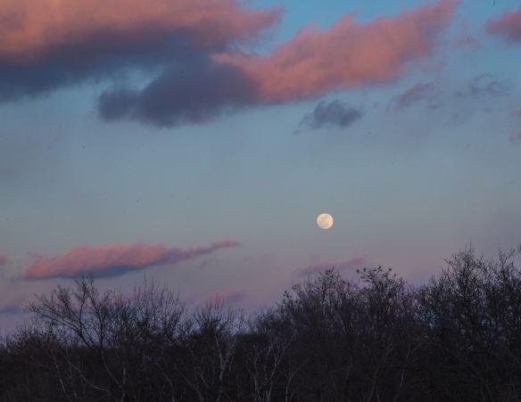 Full moon graces the sky at dusk.